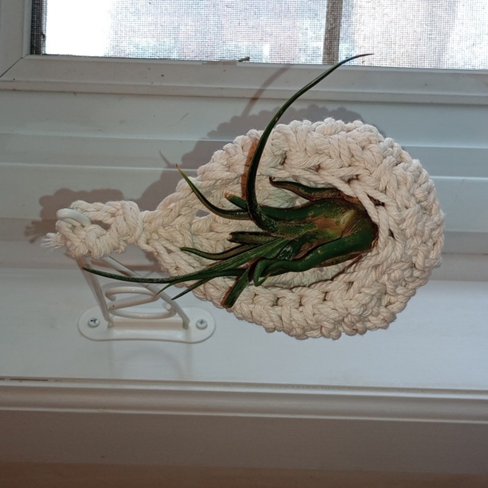 Air Plant/Mini Plant Hanger Basket, Cream, Crocheted, Boho Style, Pre-owned - Picture 5 of 6